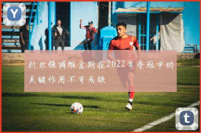 科尔强调维金斯在2022年夺冠中的关键作用不可或缺
