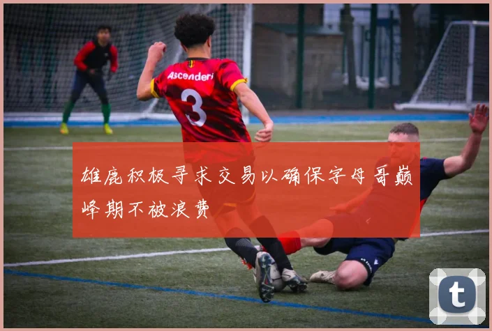 雄鹿积极寻求交易以确保字母哥巅峰期不被浪费